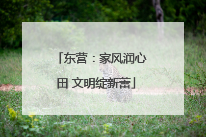 东营：家风润心田 文明绽新蕾