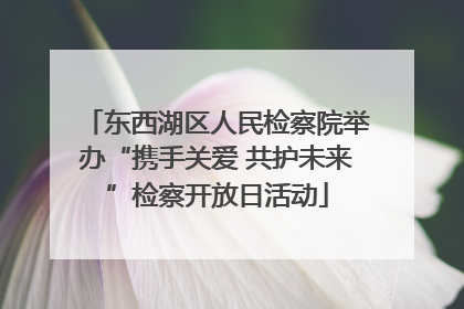 东西湖区人民检察院举办“携手关爱 共护未来”检察开放日活动