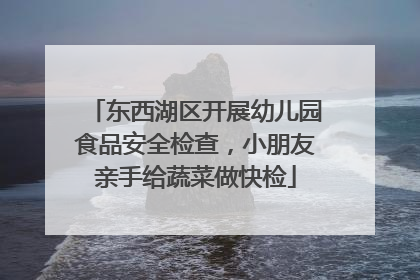 东西湖区开展幼儿园食品安全检查，小朋友亲手给蔬菜做快检