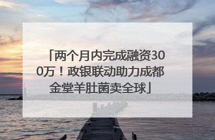 两个月内完成融资300万！政银联动助力成都金堂羊肚菌卖全球