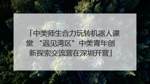 中美师生合力玩转机器人课堂 “遇见湾区”中美青年创新探索交流营在深圳开营