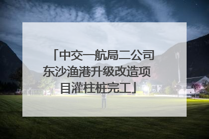 中交一航局二公司东沙渔港升级改造项目灌柱桩完工