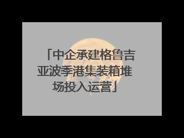 中企承建格鲁吉亚波季港集装箱堆场投入运营