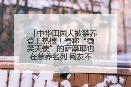 中华田园犬被禁养登上热搜！号称“微笑天使”的萨摩耶也在禁养名列 网友不解西安多部门回应