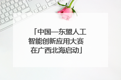 中国—东盟人工智能创新应用大赛在广西北海启动