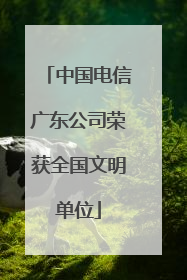 中国电信广东公司荣获全国文明单位
