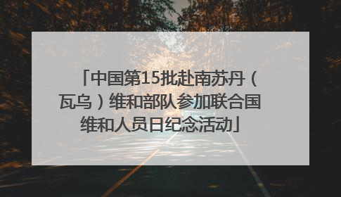 中国第15批赴南苏丹（瓦乌）维和部队参加联合国维和人员日纪念活动
