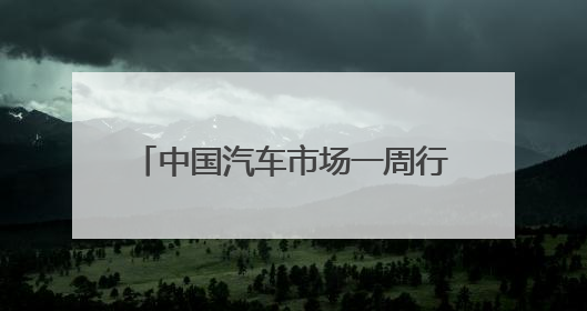 中国汽车市场一周行业信息快报——2025年5月第5期