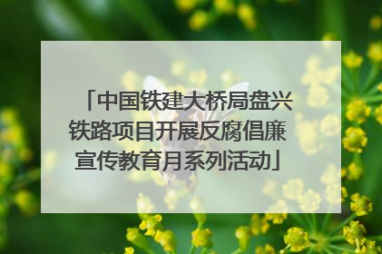 中国铁建大桥局盘兴铁路项目开展反腐倡廉宣传教育月系列活动