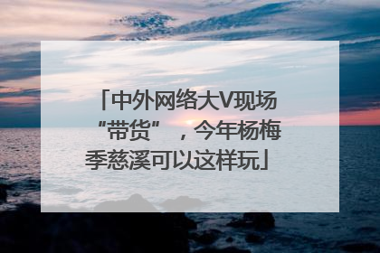 中外网络大V现场“带货”，今年杨梅季慈溪可以这样玩
