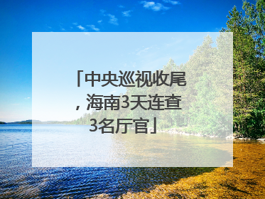 中央巡视收尾，海南3天连查3名厅官