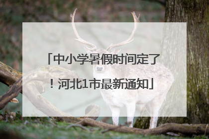 中小学暑假时间定了！河北1市最新通知