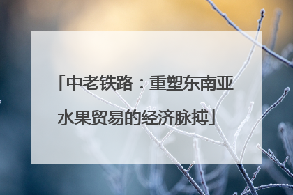 中老铁路：重塑东南亚水果贸易的经济脉搏