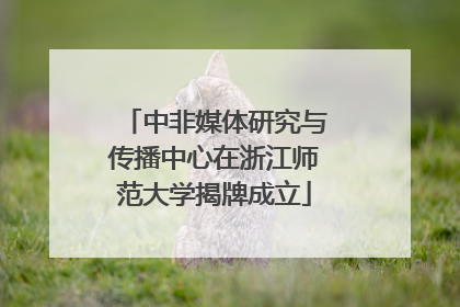 中非媒体研究与传播中心在浙江师范大学揭牌成立