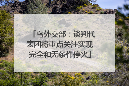 乌外交部：谈判代表团将重点关注实现完全和无条件停火