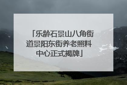 乐龄石景山八角街道景阳东街养老照料中心正式揭牌