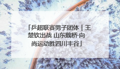 乒超联赛男子团体｜王楚钦出战 山东魏桥·向尚运动胜四川丰谷