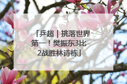 乒超｜挑落世界第一！樊振东3比2战胜林诗栋