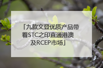 九款文登优质产品带着STC之印直通港澳及RCEP市场