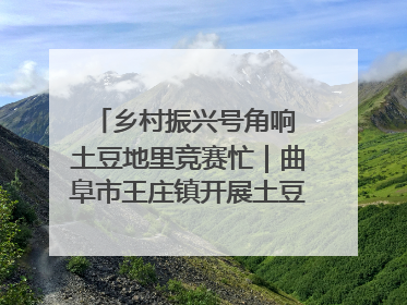 乡村振兴号角响 土豆地里竞赛忙｜曲阜市王庄镇开展土豆收获劳动竞赛