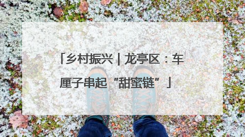 乡村振兴｜龙亭区：车厘子串起“甜蜜链”