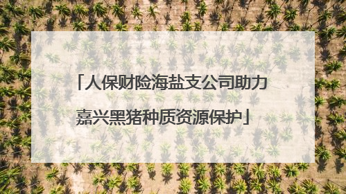 人保财险海盐支公司助力嘉兴黑猪种质资源保护