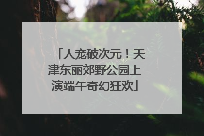 人宠破次元！天津东丽郊野公园上演端午奇幻狂欢
