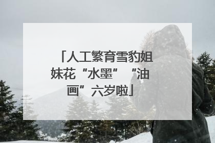 人工繁育雪豹姐妹花“水墨”“油画”六岁啦