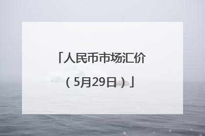 人民币市场汇价（5月29日）