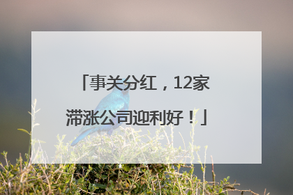 事关分红，12家滞涨公司迎利好！