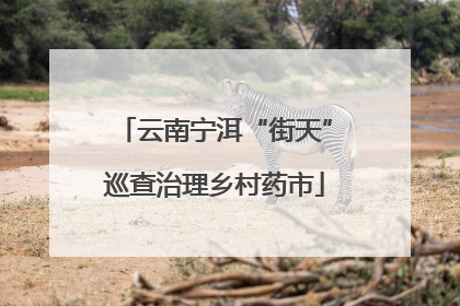 云南宁洱“街天”巡查治理乡村药市