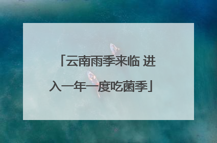 云南雨季来临 进入一年一度吃菌季