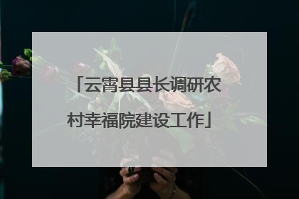 云霄县县长调研农村幸福院建设工作