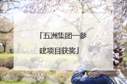 五洲集团一参建项目获奖