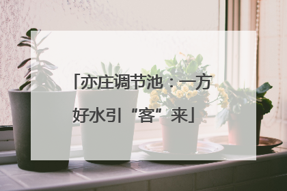 亦庄调节池：一方好水引“客”来