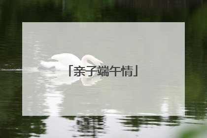 亲子端午情