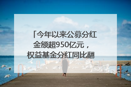 今年以来公募分红金额超950亿元，权益基金分红同比翻倍｜招财猫