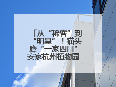 从“稀客”到“明星”！猫头鹰“一家四口”安家杭州植物园背后的守护