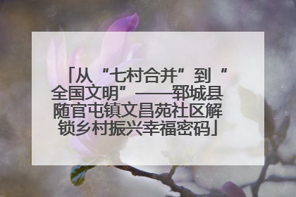 从“七村合并”到“全国文明”——郓城县随官屯镇文昌苑社区解锁乡村振兴幸福密码