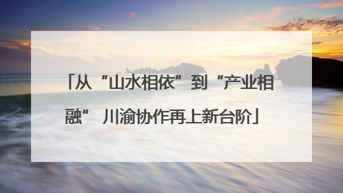 从“山水相依”到“产业相融” 川渝协作再上新台阶