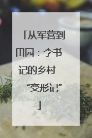 从军营到田园：李书记的乡村 “变形记”