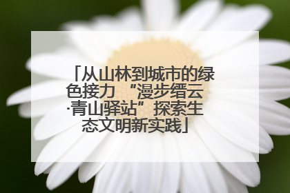 从山林到城市的绿色接力 “漫步缙云·青山驿站”探索生态文明新实践