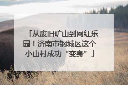 从废旧矿山到网红乐园！济南市钢城区这个小山村成功“变身”