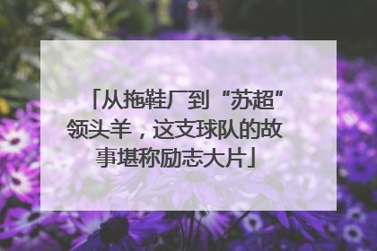从拖鞋厂到“苏超”领头羊，这支球队的故事堪称励志大片