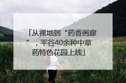 从裸地到“药香画廊”，平谷40余种中草药特色花园上线
