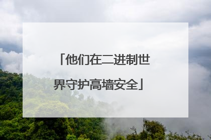 他们在二进制世界守护高墙安全