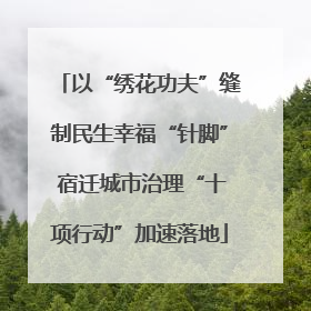 以“绣花功夫”缝制民生幸福“针脚” 宿迁城市治理“十项行动”加速落地
