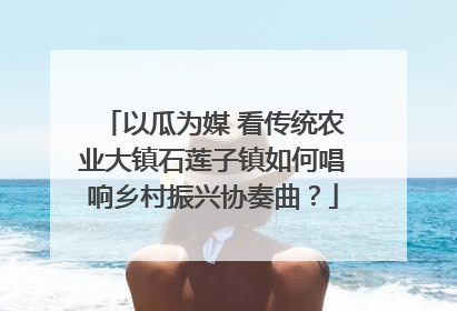 以瓜为媒 看传统农业大镇石莲子镇如何唱响乡村振兴协奏曲？