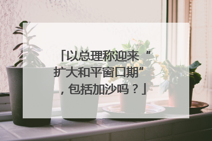 以总理称迎来“扩大和平窗口期”，包括加沙吗？