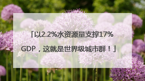 以2.2%水资源量支撑17%GDP，这就是世界级城市群！